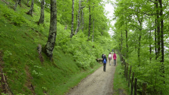 walk