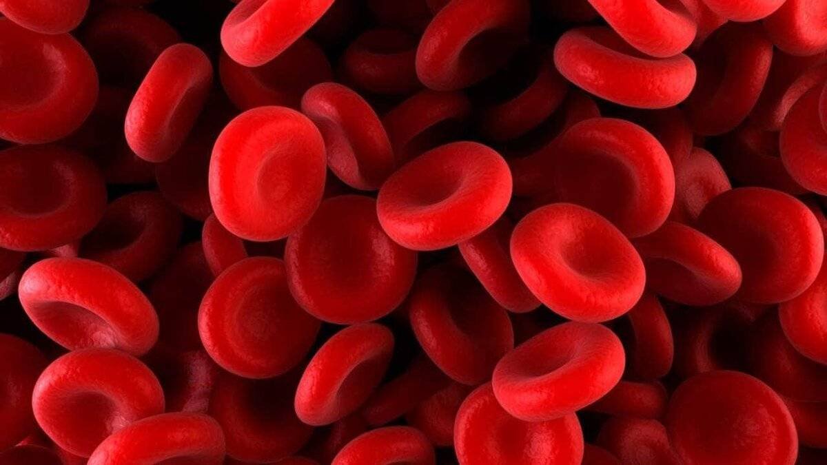 Kansızlık (Anemi) Nedir?