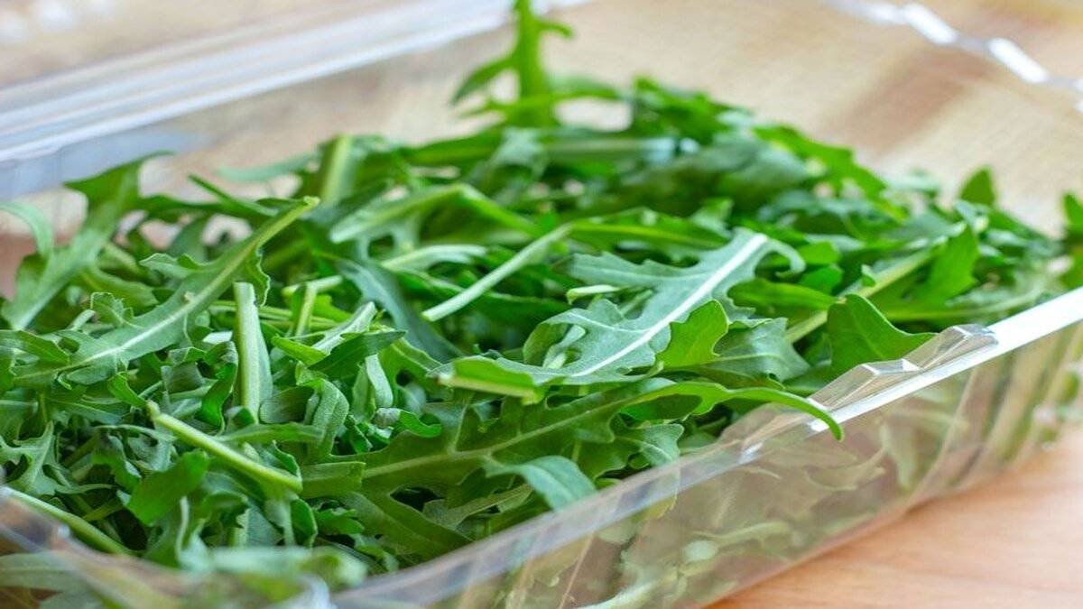 Roka (Eruca vesicaria) Hakkında