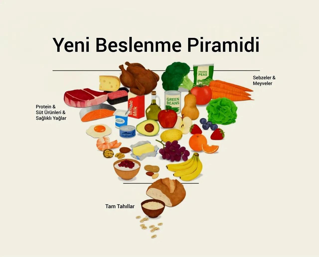 Güncel Bilimin Işığında Beslenmenin Temel Taşları