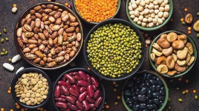 Protein Yaklaşımı Yeterli Değil - Kadın Girişim
