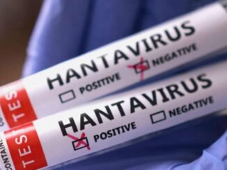 DSÖ Başkanı: Hantavirüs COVID-19 Değil, Farklı Riskler Var - Kadın Girişim