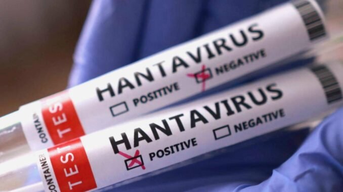 DSÖ Başkanı: Hantavirüs COVID-19 Değil, Farklı Riskler Var - Kadın Girişim