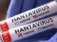 DSÖ Başkanı: Hantavirüs COVID-19 Değil, Farklı Riskler Var - Kadın Girişim