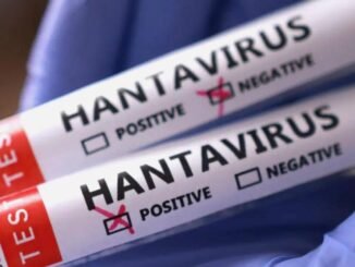 Gemide Karantina, Kırsalda Alarm: Hantavirüs Kapımızda mı? - Kadın Girişim