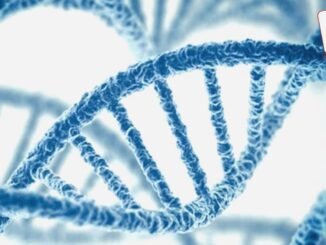 Genetik Ayıklamayla Tek Gen Hastalıklarını Önleme - Kadın Girişim