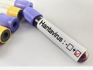 Hantavirüs Bir Salgına Dönüşür Mü? - Kadın Girişim