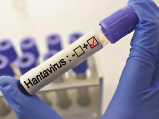 Hantavirüs Uyarısı: Grip Belirtileriyle Karışmasın - Kadın Girişim