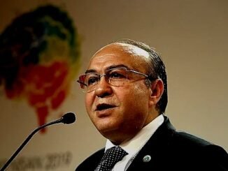 Doğal Atıştırmalık İlgi Artışı ve Hurmanın Öne Çıkışı: Türkiye'de Trendler - Kadın Girişim